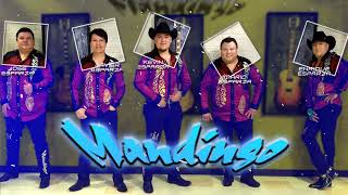 GRUPO MANDINGO EXITOS -SUS MEJORES CANCIONES DE GRUPO MANDINGO - MIX ROMANTICAS 2021