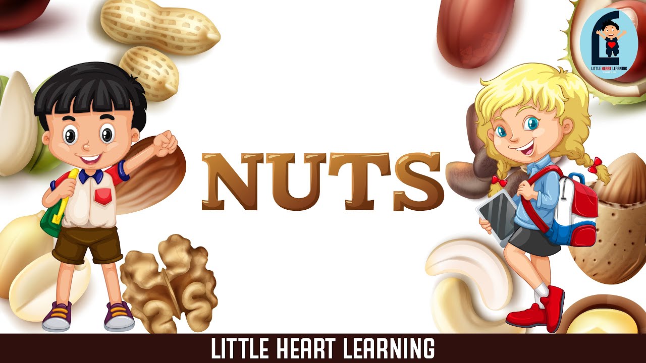 Nuts names for kids | Learn nuts names with pictures | Types of nuts in English