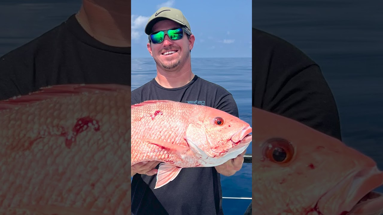 Red Snapper in the Gulf Show Signs of Stress