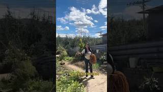 和奶奶一起的一天 👵 | 乡村生活太治愈了 🌾❤️#viralvideo #生活vlog