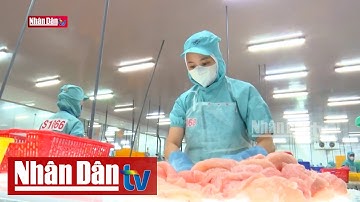 Xuất khẩu cá tra dự báo đạt 2 tỷ USD năm 2024