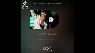 Hüseyn Dərya - Huri Mələyim Resimi