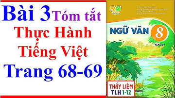 Ngữ Văn 8 Bài 3 | Thực Hành Tiếng Việt | Trang 68 - 69 | Kết Nối Tri Thức | Tóm Tắt