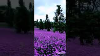 Huzur İslamda