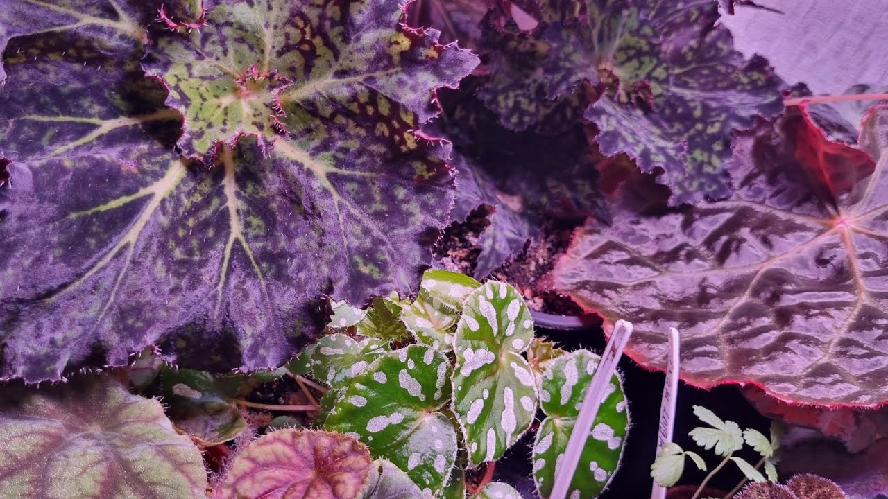 Приветствую, я почти вернулась)