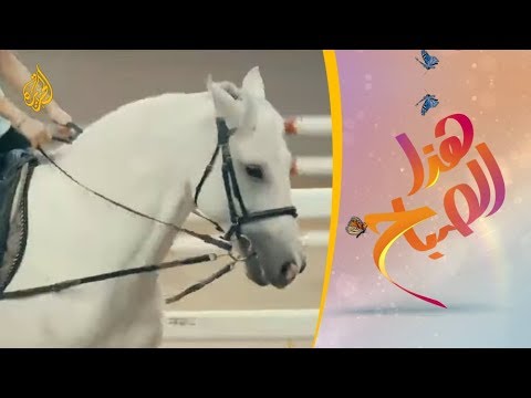 هذا الصباح نصائح مهمة لتعليم طفلك الفروسية