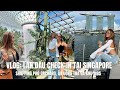 Vlog du lch singapore  shopping n ung th ga khu marina bay sands