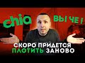 Что нужно знать про Фарминг Chia на пулах с официальным протоколом