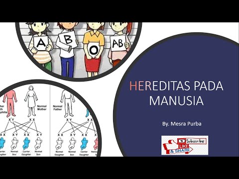 Video: Kontinum Kausalitas Pada Kelainan Genetik Manusia