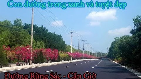 Con đường tuyệt đẹp ở TP. Hồ Chí Minh hóa ra vẫn còn tồn tại | Đường Rừng Sác Cần Giờ