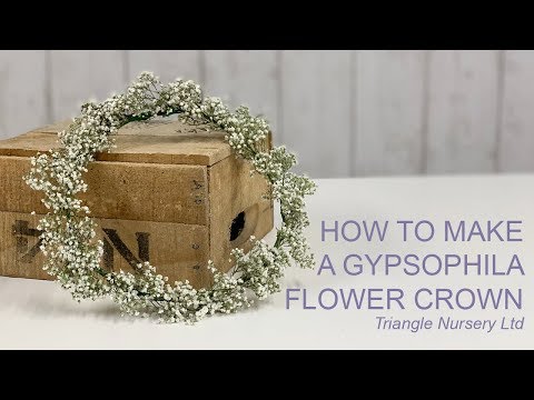 How to Make a Gypsophila Flower Crown - Wholesale Flowers Direct