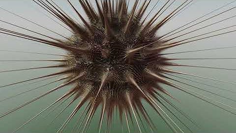 Mandelbulber rough animation #1