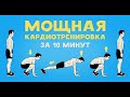 Мощная кардиотренировка за 10 минут