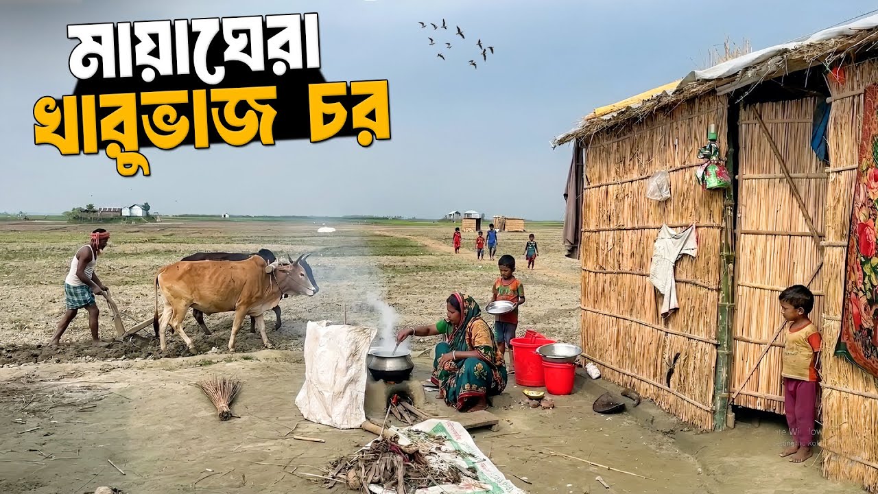 গহীন চরে মানুষের ব্যতিক্রম জীবন | খারুভাজ চর | Poor Lifestyle Of Char Kharuvaj
