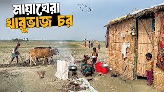 Download Lagu গহীন চরে মানুষের ব্যতিক্রম জীবন | খারুভাজ চর | Poor Lifestyle Of Char Kharuvaj MP3
