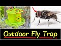✅Best Fly Trap by Rescue | Outdoor Hanging Fly Trap Gets rid of Nuisance Filth Flies Quick Review