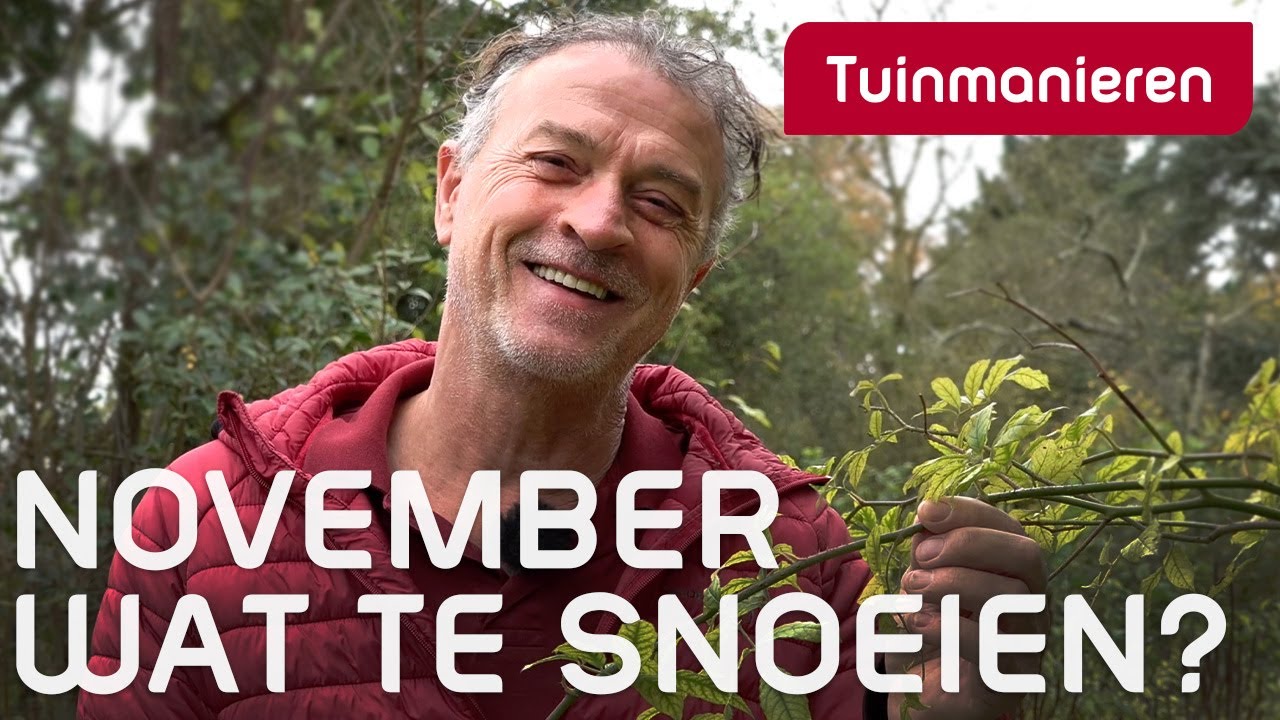 Wat te snoeien in november | Tuinmanieren