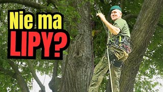 72letni Romek Pierwszy Raz Wspi Si Na Drzewo Ba Si Kobiet Ale Nie Burzy