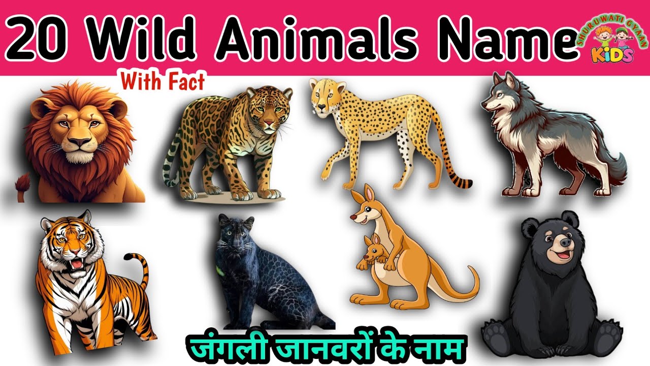 Top 20 Wild Animals Name In English And Hindi With Fun Fact | Fun Learning Education For Toddlers