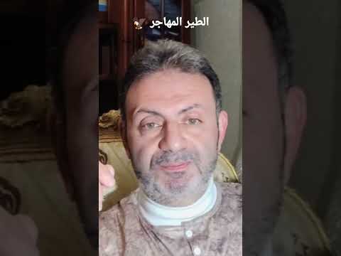 الطير المهاجر الطير المهاجر