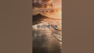 اللَّهُ نُورُ السَّمَاوَاتِ وَالْأَرْضِ || سورة النور || علي جابر