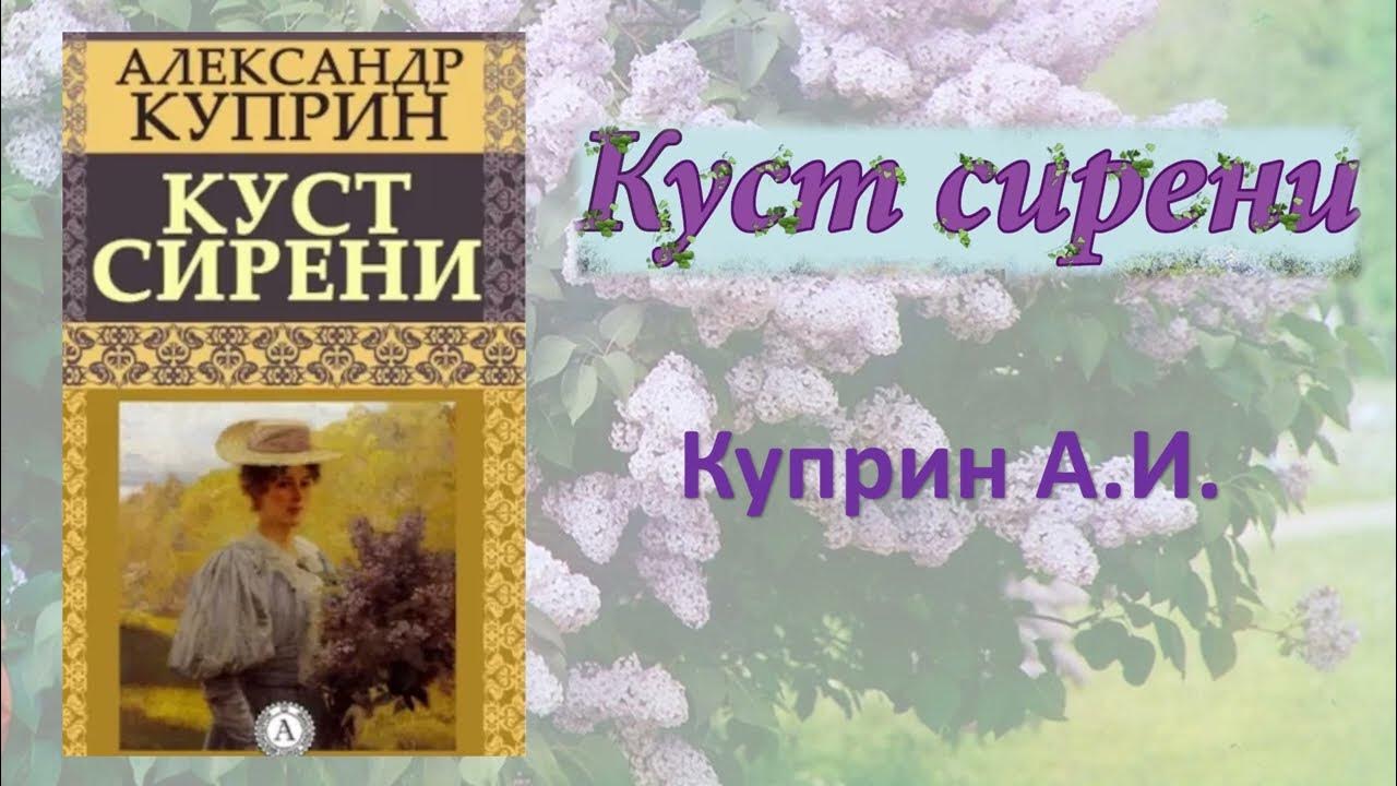 Эпизоды рассказа куприна куст сирени. Куст сирени Куприн аудиокнига. Куст сирени сколько страниц.