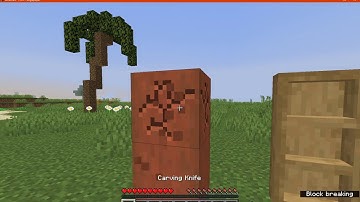 Bound Totem 1.15.2 Forge Mod Overview