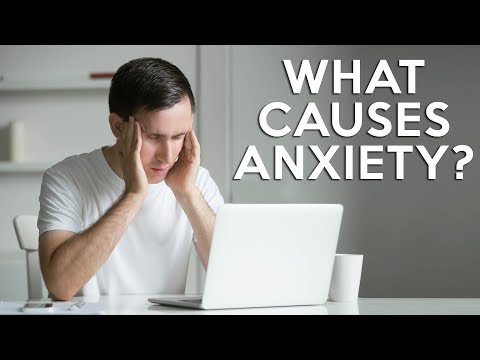 Why do I have Anxiety, but "Normal" Test Results? Science-Based Solutions with Dr. K, Functional - Why do I have Anxiety, but "Normal" Test Results? Science-Based Solutions with Dr. K, Functional
