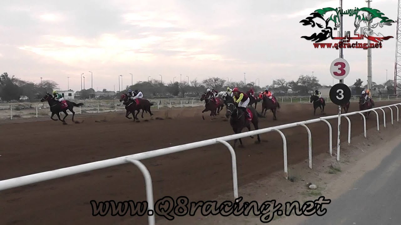 الجواد برنس راكان