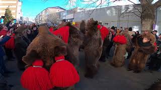 Jocul Ursului Comanesti 2022