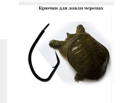 Виды рыболовных крючков, крючки для ловли черепах, доставка бесплатно в почтовый ящик, без трека, по Виды рыболовных крючков, крючки для ловли черепах, доставка бесплатно в почтовый ящик, без трека, по