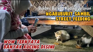 Ngabuburit Sambil Nyari Kucing di Bazar Kuliner Ramadhan | Street Feeding by Bubu Story The Cat 752 views 1 month ago 8 minutes, 3 seconds