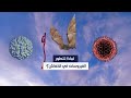 كشف أسرار الخفاش لماذا تتطور فيروسات كورونا في جسمه