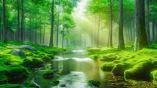 Relaxing music heals the heart and nervous system 🌿 Soothing music relieves stress