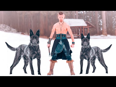 Video: Baskischer Schäferhund