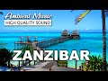 ZANZIBAR Island 4K Drone 🇹🇿 Tanzania ★ With ♫ ♬ Ambient Music ||►60 min