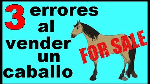 ¿Cuáles son los 3 mayores gastos de tener un caballo?