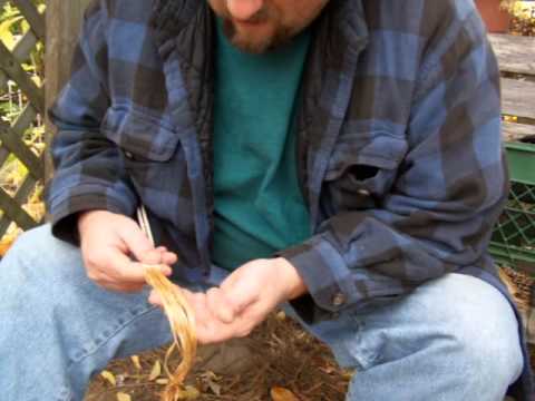 Dogbane Cordage Leg Rolling Technique (not narrated) - YouTube