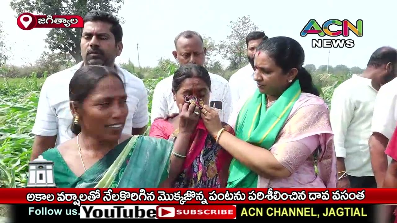 జగిత్యాలలో అకాల వర్షాలతో నేలకొరిగిన మొక్కజొన్న పంట పరిశీలించిన దావ వసంత