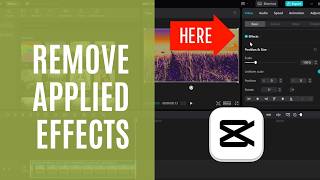 CapCut PC Tutorial: How to Remove Applied Effects from Videos (Beginner's Guide)