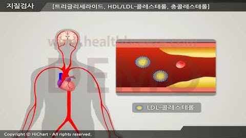 [시연용] b0154aako 축약판지질 검사