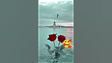 بعض البشر آفات عباس سحاگی اغنیه جدیده فی ساحات الاهواز نزلهه من موقع AhvazCityMusic 