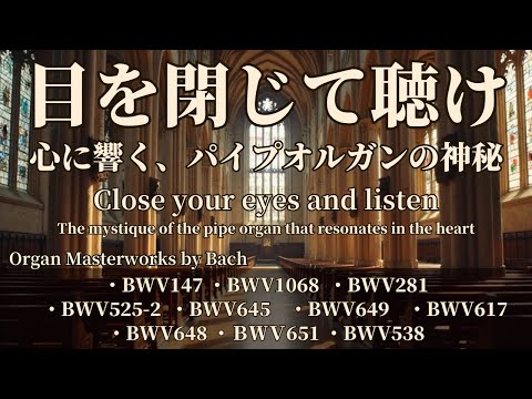 心を鎮めるバッハ：パイプオルガンの静謐なる響きと祈りの名曲集~Bach: The Anti-Anxiety Music Collection