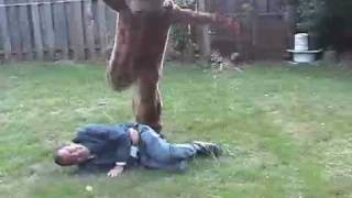 Help! A Bear Is Eating Me!