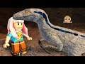 It's Blue ! Let's Play Roblox Game Jurassic World Raptor Dinosaur - Video