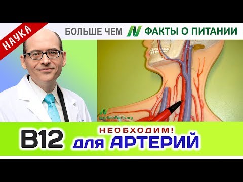 0800.Витамин В12 необходим здоровым артериям | Больше чем ФАКТЫ О ПИТАНИИ - Майкл Грегер