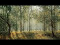 Relaxing Music #29: Calm Music, Celtic Sleep Music, Deep Sleep Music | Black Screen