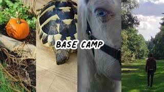 A Wholesome Day at Base Camp 2.0