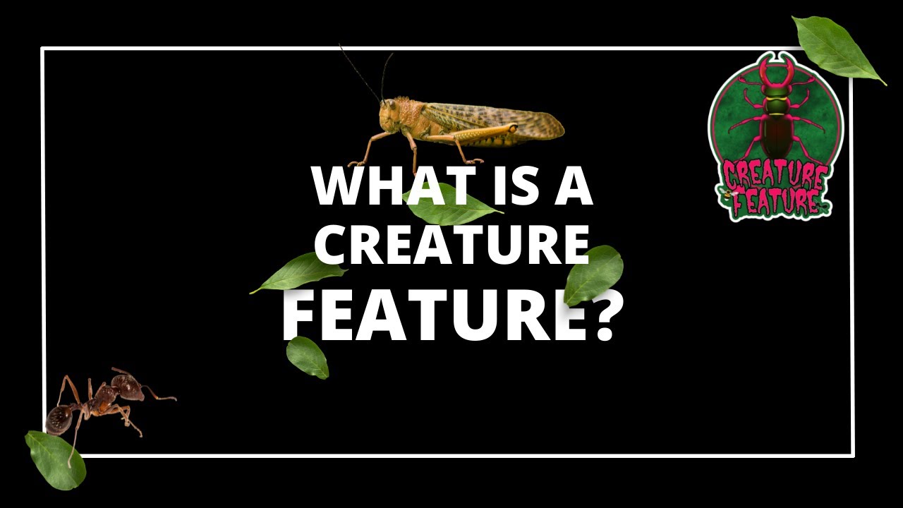 What is a Creature Feature on this channel? (CLIP) - YouTube