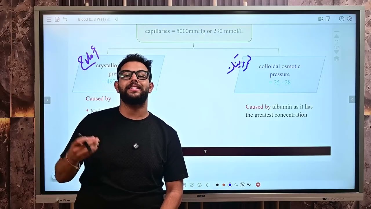 المحاضرة الثالثة فسيولوجي دفعة 199 قصر العيني “RBCs &Hemoglobin”..